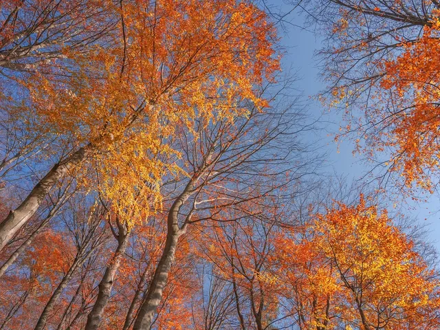 Seasons Brampton